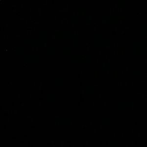 Meet your Posher, Daisy